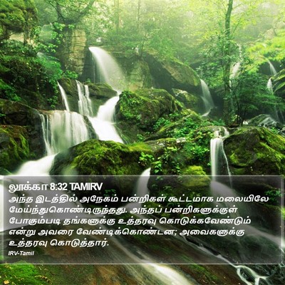 லூக்கா 8:32 TAMIRV Bible Verse Image