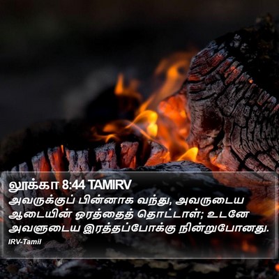 லூக்கா 8:44 TAMIRV Bible Verse Image