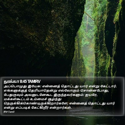 லூக்கா 8:45 TAMIRV Bible Verse Image