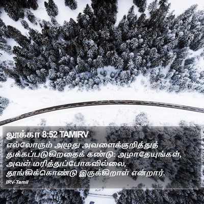 லூக்கா 8:52 TAMIRV Bible Verse Image