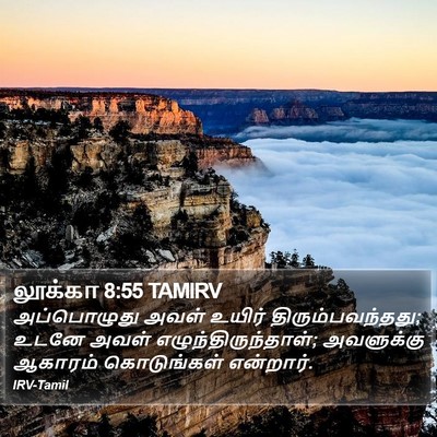 லூக்கா 8:55 TAMIRV Bible Verse Image