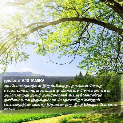 லூக்கா 9:10 TAMIRV Bible Verse Image