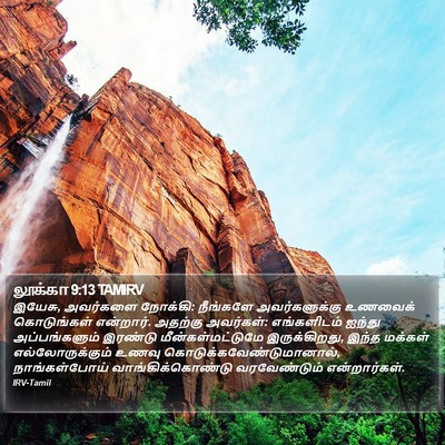 லூக்கா 9:13 TAMIRV Bible Verse Image