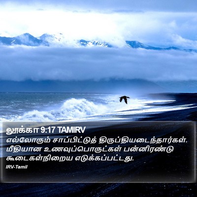லூக்கா 9:17 TAMIRV Bible Verse Image