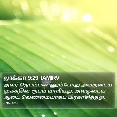 லூக்கா 9:29 TAMIRV Bible Verse Image