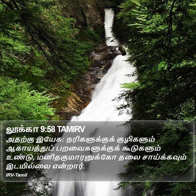 லூக்கா 9:58 TAMIRV Bible Verse Image