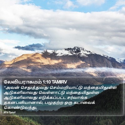 லேவியராகமம் 1:10 TAMIRV Bible Verse Image