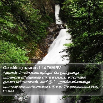 லேவியராகமம் 1:14 TAMIRV Bible Verse Image