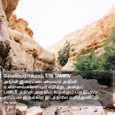 லேவியராகமம் 1:16 TAMIRV Bible Verse Image