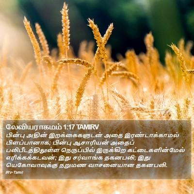 லேவியராகமம் 1:17 TAMIRV Bible Verse Image