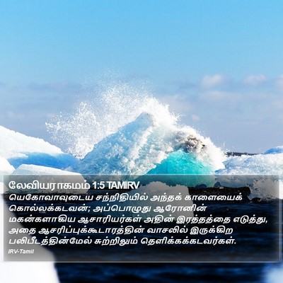 லேவியராகமம் 1:5 TAMIRV Bible Verse Image