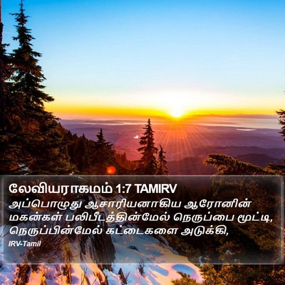 லேவியராகமம் 1:7 TAMIRV Bible Verse Image