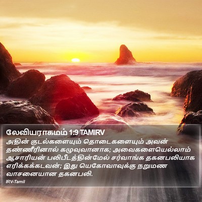 லேவியராகமம் 1:9 TAMIRV Bible Verse Image