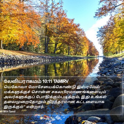 லேவியராகமம் 10:11 TAMIRV Bible Verse Image