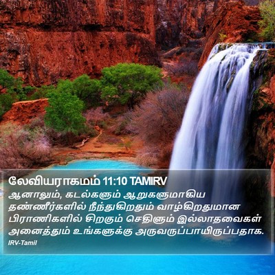 லேவியராகமம் 11:10 TAMIRV Bible Verse Image