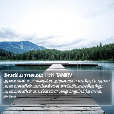 லேவியராகமம் 11:11 TAMIRV Bible Verse Image