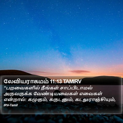 லேவியராகமம் 11:13 TAMIRV Bible Verse Image