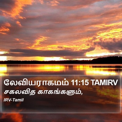 லேவியராகமம் 11:15 TAMIRV Bible Verse Image