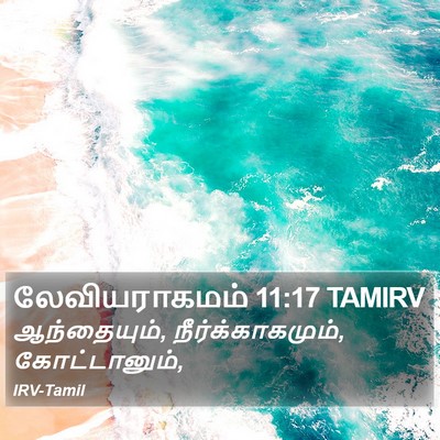 லேவியராகமம் 11:17 TAMIRV Bible Verse Image