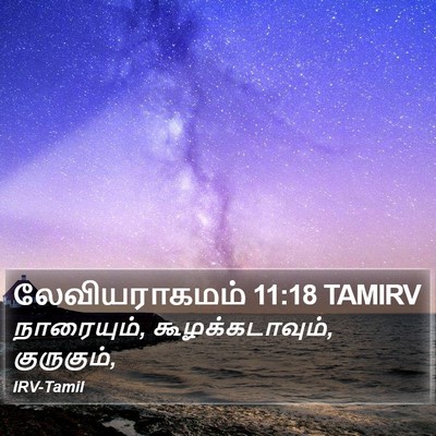 லேவியராகமம் 11:18 TAMIRV Bible Verse Image