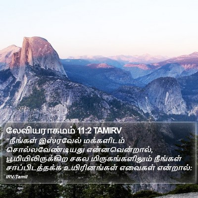 லேவியராகமம் 11:2 TAMIRV Bible Verse Image