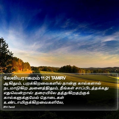 லேவியராகமம் 11:21 TAMIRV Bible Verse Image
