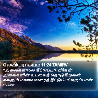 லேவியராகமம் 11:24 TAMIRV Bible Verse Image