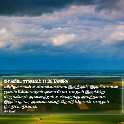லேவியராகமம் 11:26 TAMIRV Bible Verse Image