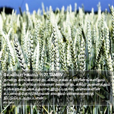 லேவியராகமம் 11:27 TAMIRV Bible Verse Image