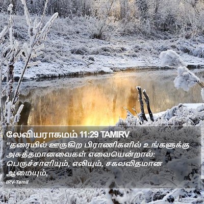 லேவியராகமம் 11:29 TAMIRV Bible Verse Image