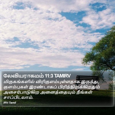 லேவியராகமம் 11:3 TAMIRV Bible Verse Image