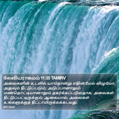 லேவியராகமம் 11:35 TAMIRV Bible Verse Image