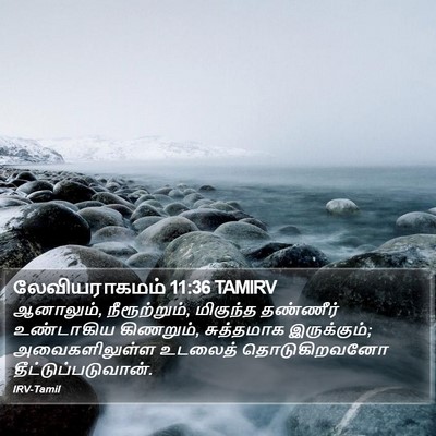 லேவியராகமம் 11:36 TAMIRV Bible Verse Image