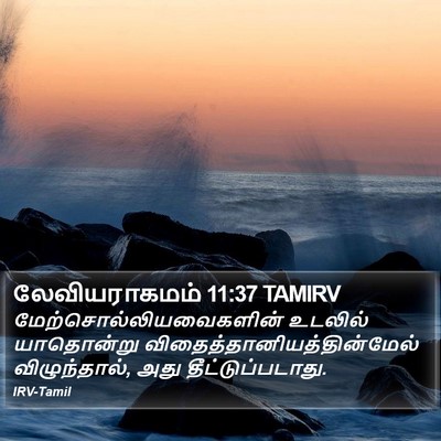 லேவியராகமம் 11:37 TAMIRV Bible Verse Image