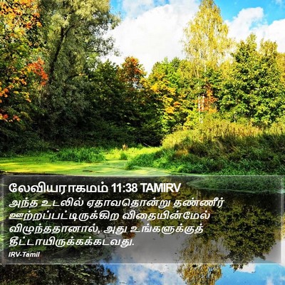 லேவியராகமம் 11:38 TAMIRV Bible Verse Image