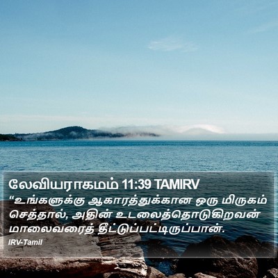லேவியராகமம் 11:39 TAMIRV Bible Verse Image