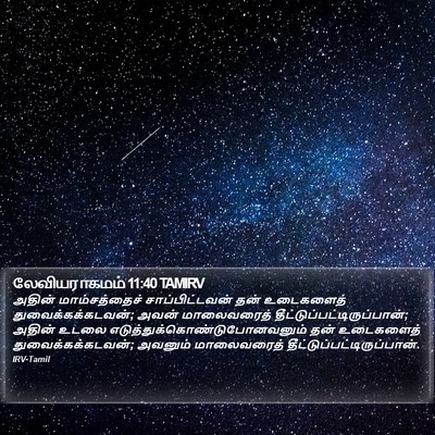 லேவியராகமம் 11:40 TAMIRV Bible Verse Image
