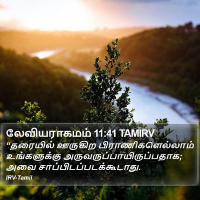லேவியராகமம் 11:41 TAMIRV Bible Verse Image