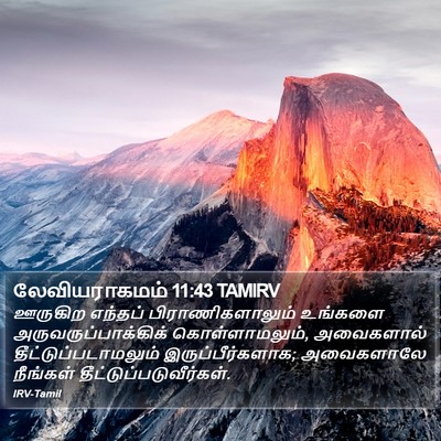 லேவியராகமம் 11:43 TAMIRV Bible Verse Image