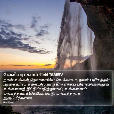 லேவியராகமம் 11:44 TAMIRV Bible Verse Image
