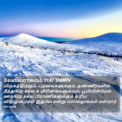 லேவியராகமம் 11:47 TAMIRV Bible Verse Image