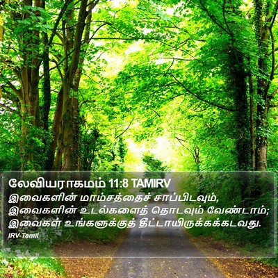 லேவியராகமம் 11:8 TAMIRV Bible Verse Image