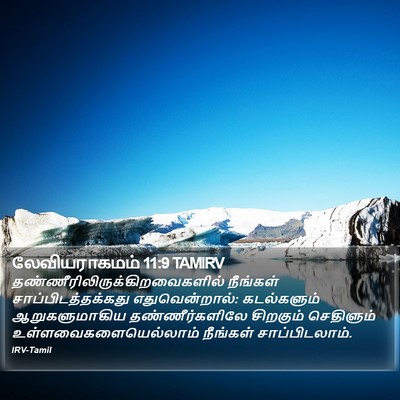 லேவியராகமம் 11:9 TAMIRV Bible Verse Image
