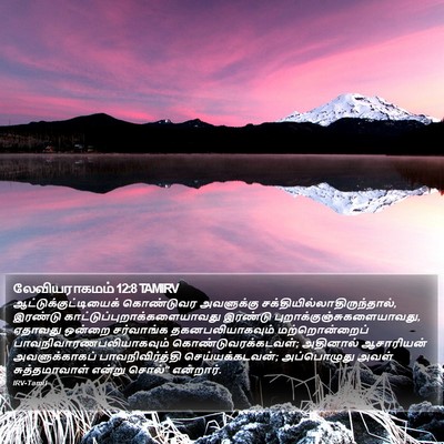 லேவியராகமம் 12:8 TAMIRV Bible Verse Image