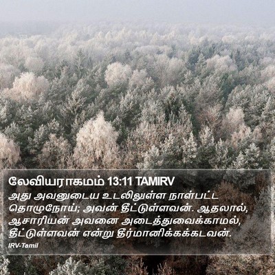 லேவியராகமம் 13:11 TAMIRV Bible Verse Image