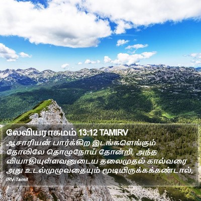 லேவியராகமம் 13:12 TAMIRV Bible Verse Image
