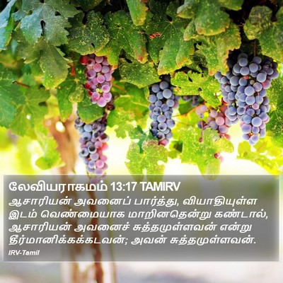 லேவியராகமம் 13:17 TAMIRV Bible Verse Image