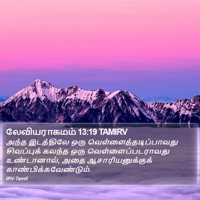 லேவியராகமம் 13:19 TAMIRV Bible Verse Image