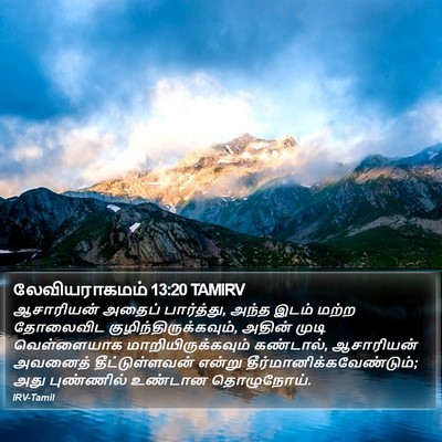 லேவியராகமம் 13:20 TAMIRV Bible Verse Image