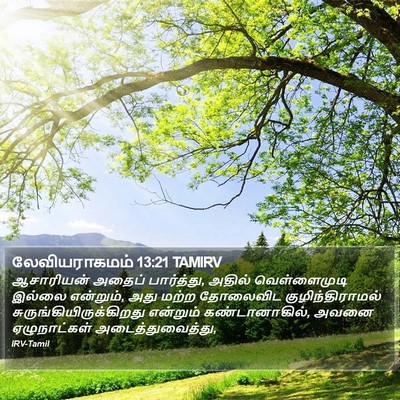 லேவியராகமம் 13:21 TAMIRV Bible Verse Image